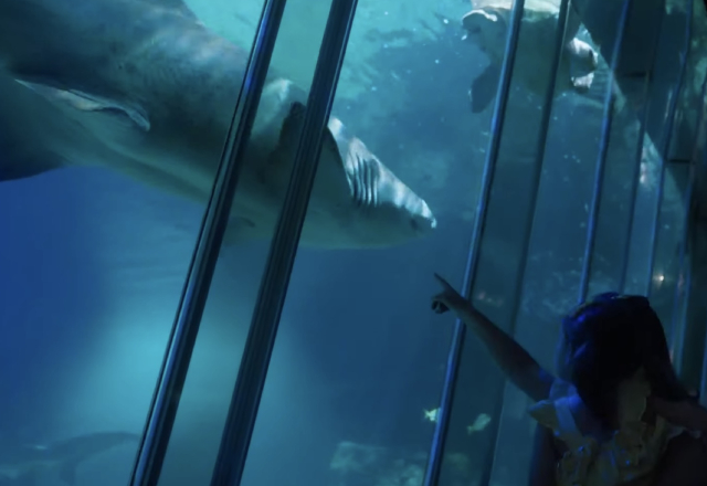 sharktank-exhibits