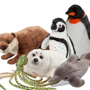 Soft Toys