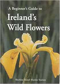 A beginners guide to Ireland's wild flowers pocket book at Dingle Oceanworld aquarium gift shop
